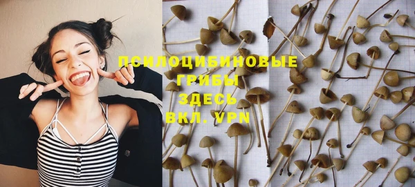 PSILOCYBIN Краснослободск