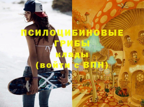 PSILOCYBIN Краснослободск