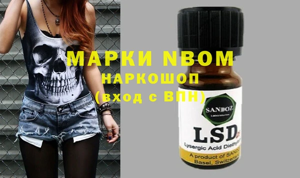 PSILOCYBIN Краснослободск