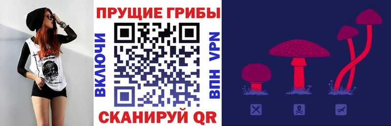 Купить  Гай  Псилоцибиновые грибы мухоморы 